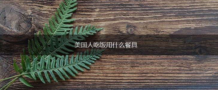 美国人吃饭用什么餐具,第1张
