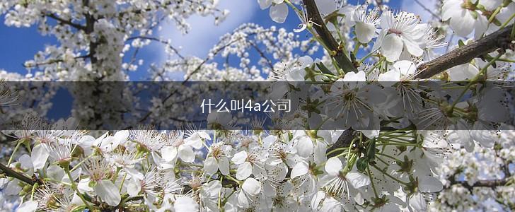 什么叫4a公司,第1张