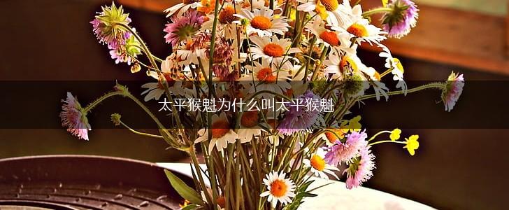 太平猴魁为什么叫太平猴魁,第1张