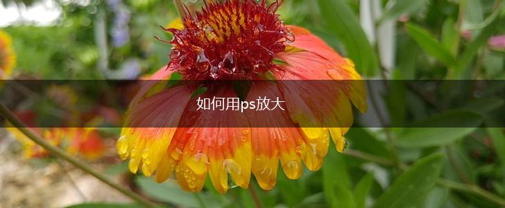 如何用ps放大,第1张