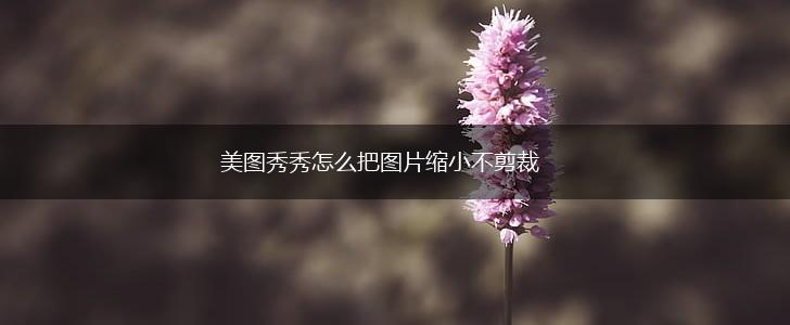 美图秀秀怎么把图片缩小不剪裁,第1张
