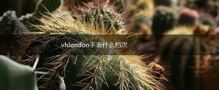 vhlondon手表什么档次,第1张