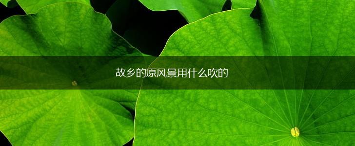 故乡的原风景用什么吹的,第1张