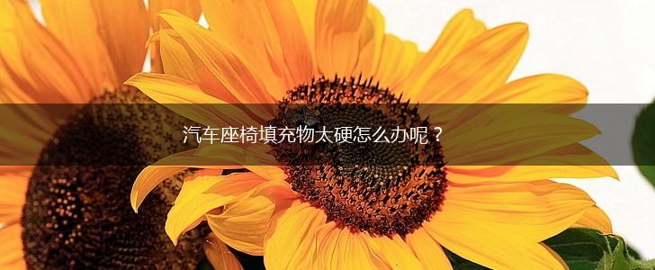 汽车座椅填充物太硬怎么办呢？,第1张