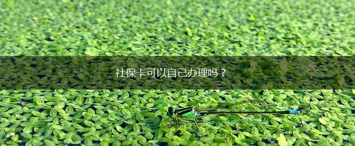 社保卡可以自己办理吗？,第1张
