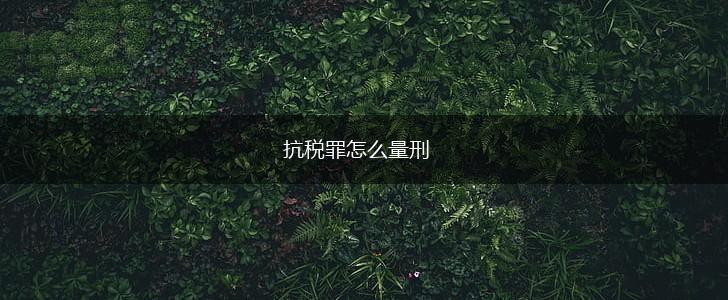 抗税罪怎么量刑,第1张