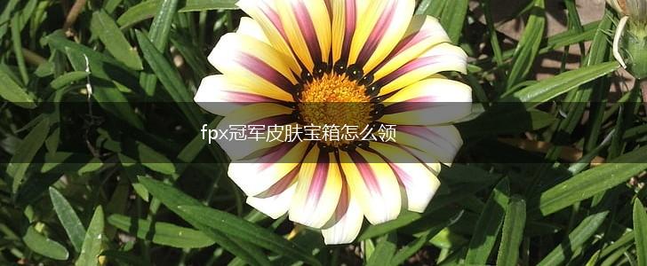 fpx冠军皮肤宝箱怎么领,第1张