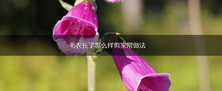 毛衣长了怎么样剪家常做法,第1张
