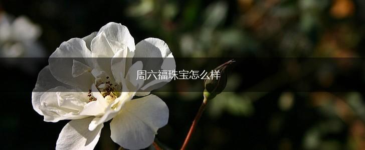 周六福珠宝怎么样,第1张