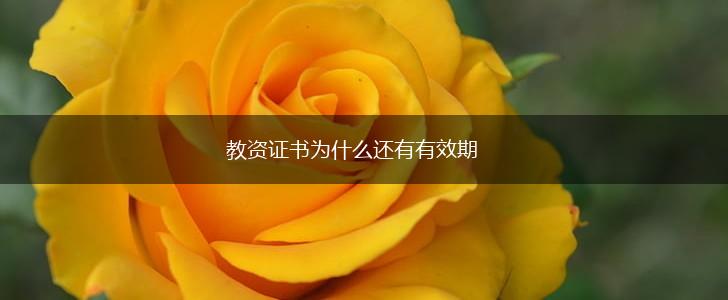 教资证书为什么还有有效期,第1张
