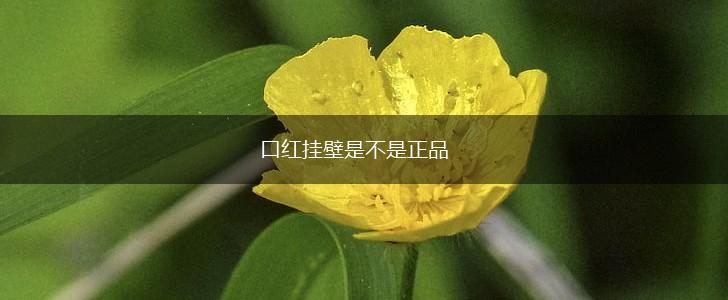 口红挂壁是不是正品,第1张