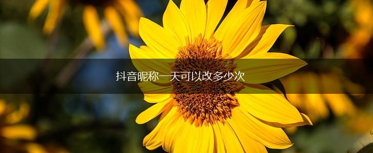 抖音昵称一天可以改多少次,第1张
