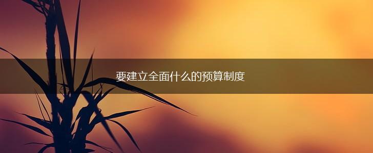 要建立全面什么的预算制度,第1张