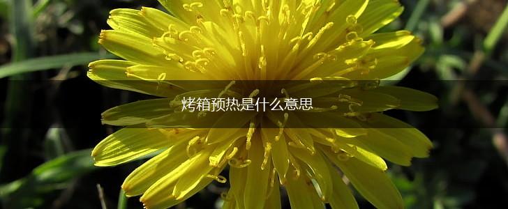 烤箱预热是什么意思,第1张