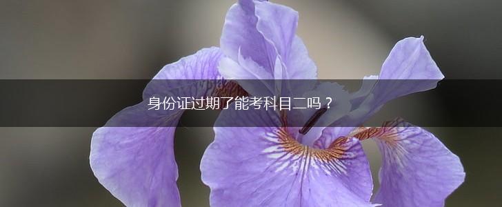 身份证过期了能考科目二吗？,第1张
