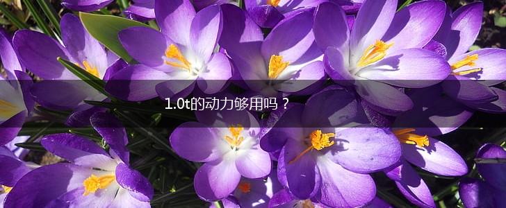 1.0t的动力够用吗？,第1张