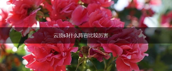 云顶s3什么阵容比较厉害,第1张