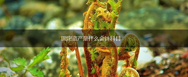固定资产是什么会计科目,第1张