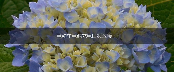 电动车电池充电口怎么接,第1张 电动车电池充电口怎么接,第1张