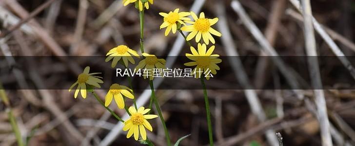 RAV4车型定位是什么,第1张