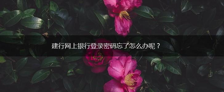建行网上银行登录密码忘了怎么办呢？,第1张