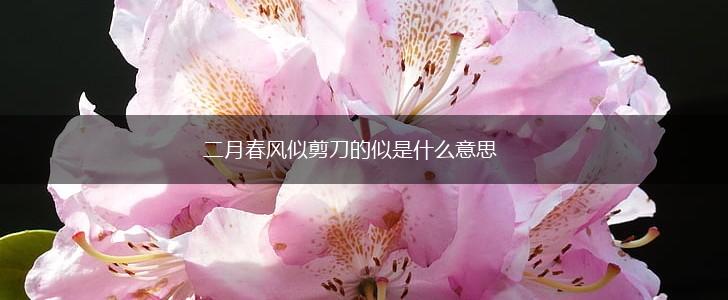 二月春风似剪刀的似是什么意思,第1张