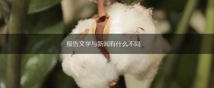 报告文学与新闻有什么不同,第1张