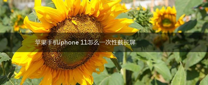 苹果手机iphone 11怎么一次性截长屏,第1张