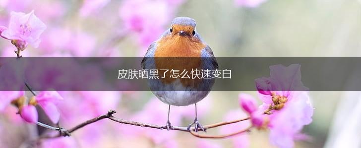 皮肤晒黑了怎么快速变白,第1张