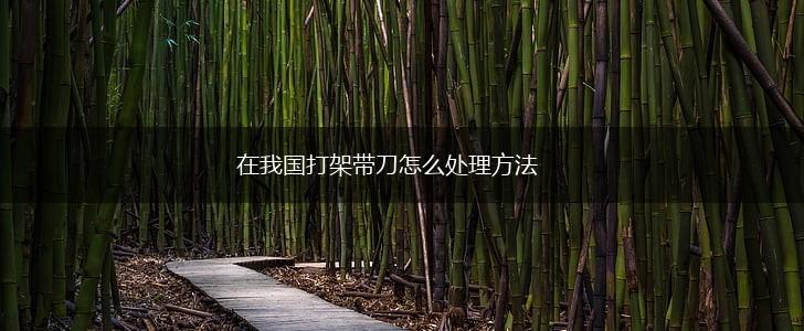 在我国打架带刀怎么处理方法,第1张 在我国打架带刀怎么处理方法,第1张