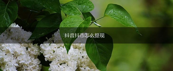 抖音抖币怎么提现,第1张