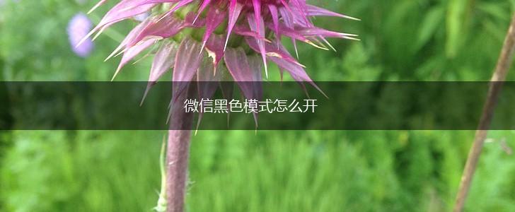 微信黑色模式怎么开,第1张