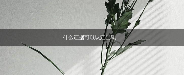 什么证据可以认定出轨,第1张
