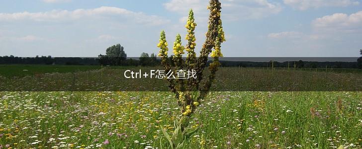 Ctrl+F怎么查找,第1张