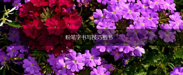 粉笔字书写技巧楷书,第1张