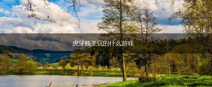 虎牙贱圣玩的什么游戏,第1张