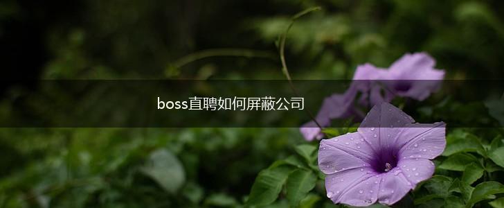 boss直聘如何屏蔽公司,第1张