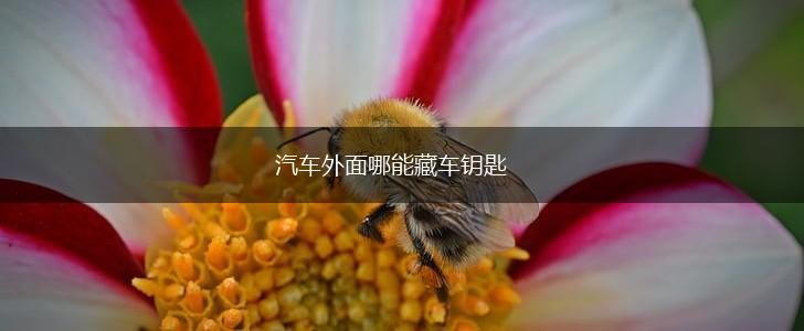汽车外面哪能藏车钥匙,第1张