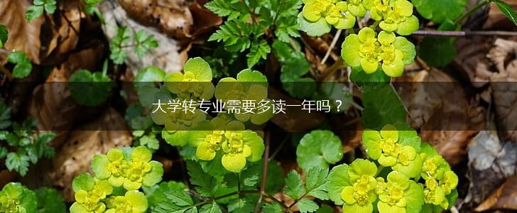 大学转专业需要多读一年吗？,第1张