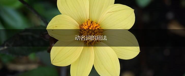 动名词的用法,第1张