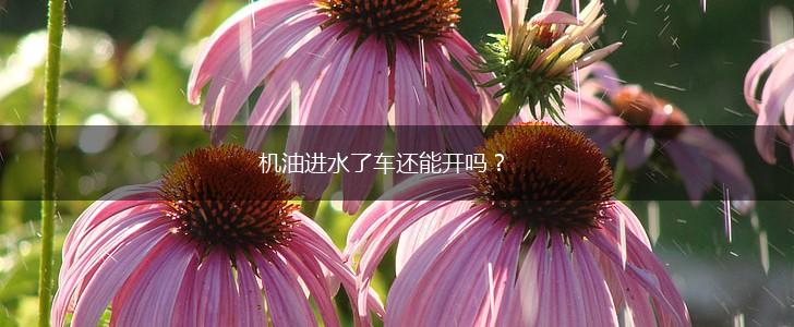 机油进水了车还能开吗？,第1张