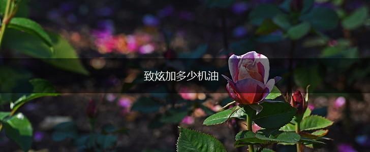 致炫加多少机油,第1张