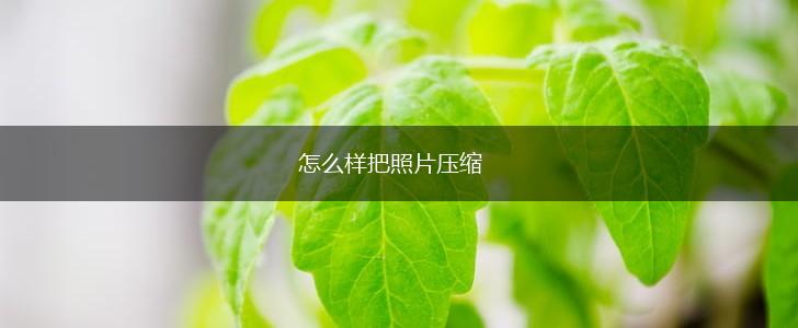 怎么样把照片压缩,第1张