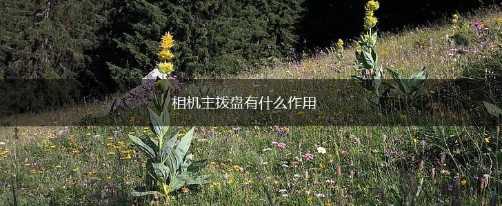 相机主拨盘有什么作用,第1张