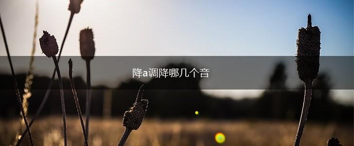 降a调降哪几个音,第1张