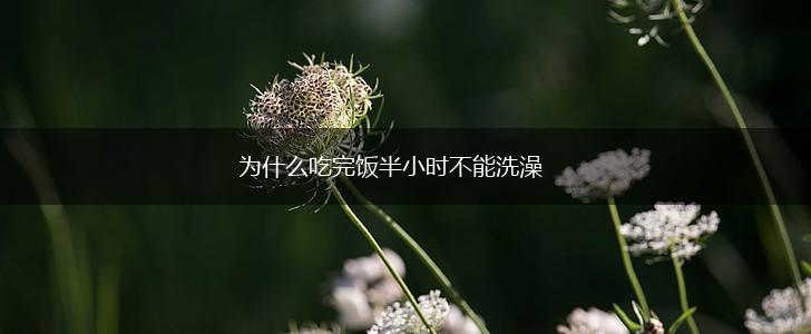为什么吃完饭半小时不能洗澡,第1张 为什么吃完饭半小时不能洗澡,第1张