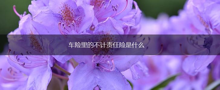 车险里的不计责任险是什么,第1张