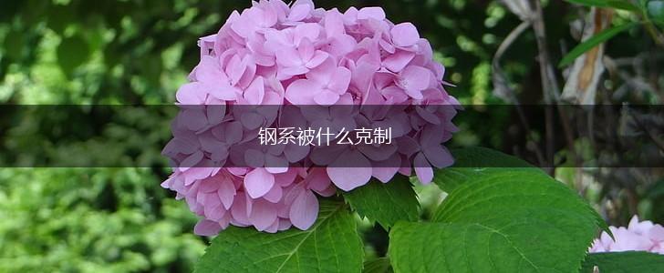 钢系被什么克制,第1张
