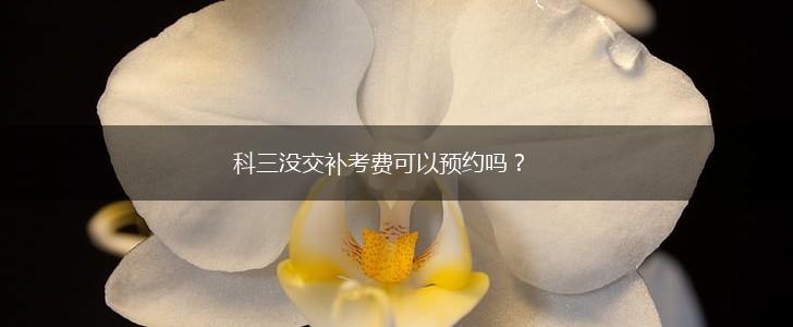 科三没交补考费可以预约吗？,第1张