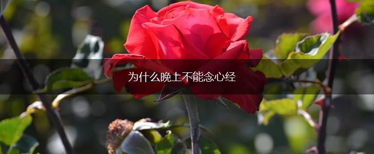 为什么晚上不能念心经,第1张